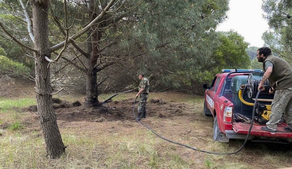 Controlan un incendio en reserva forestal de la zona sur El Atlántico